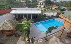 Palm View Apartelle